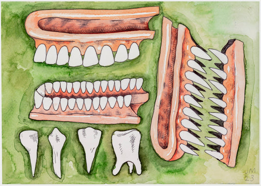 024 - "Teeth (I Keep Losing These In My Dreams)" Watercolor Painting by Jim Mooijekind
